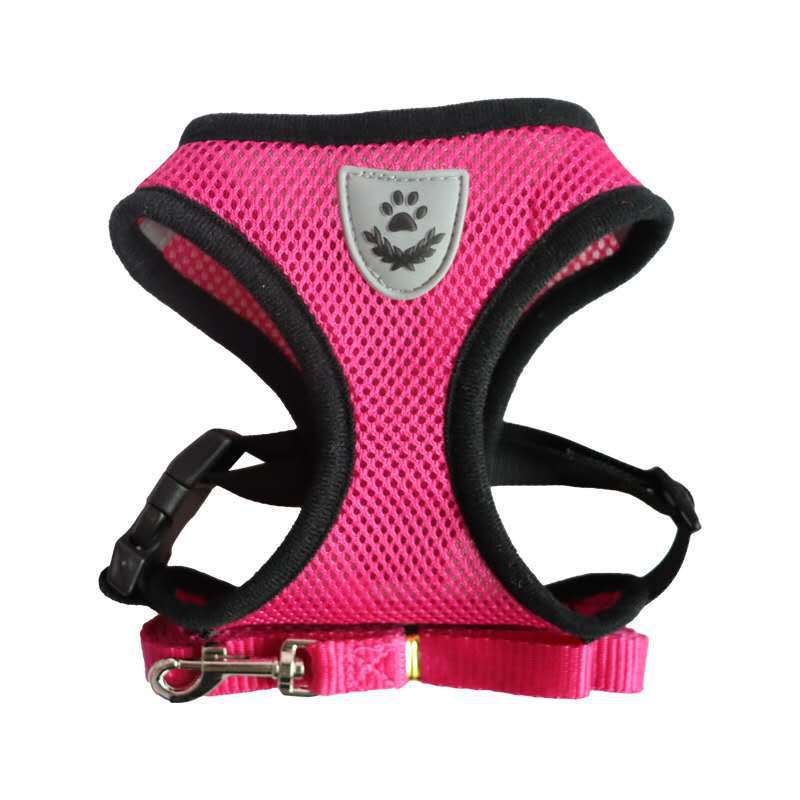 Dog Chest Harness & Leash Set