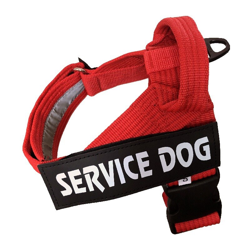 Adjustable No-Pull Dog Harness Vest – Comfort Fit