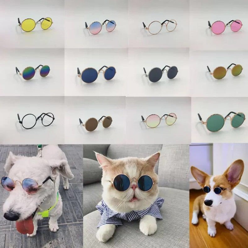 Trendy Pet Sunglasses for Dogs & Cats