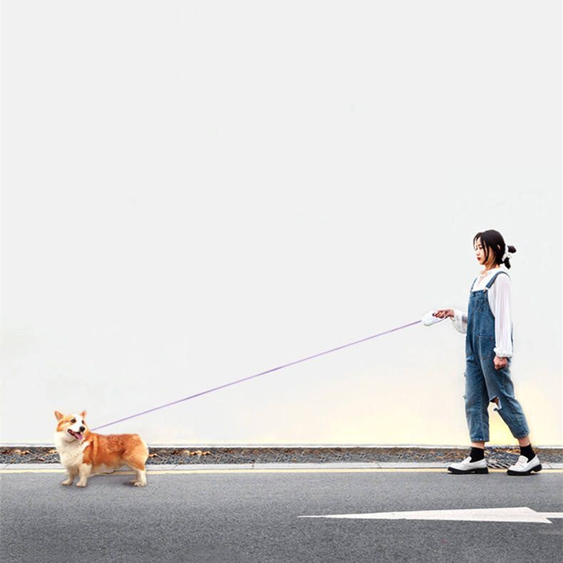 Glowing Retractable Dog Leash