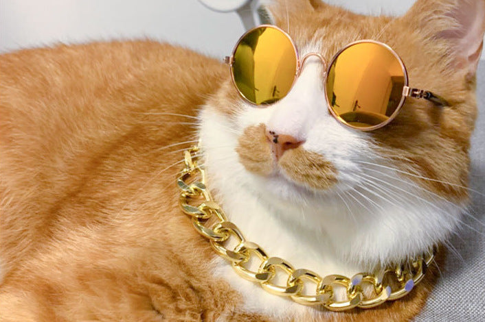 Trendy Pet Sunglasses for Dogs & Cats