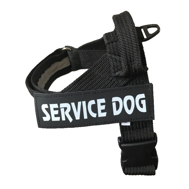 Adjustable No-Pull Dog Harness Vest – Comfort Fit