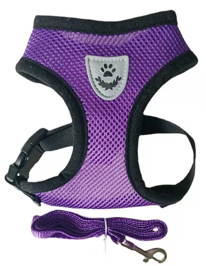 Dog Chest Harness & Leash Set